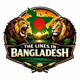 THE LINES IN profile image