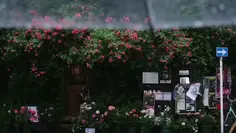 Featured post 1