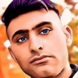 omid v145 profile image