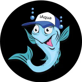 i Aqua profile image