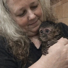 Animal welfare profile image