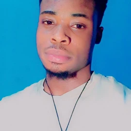 Chibuike Emmanuel profile image