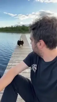 Featured animals content