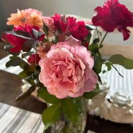 Jason Aldean profile image