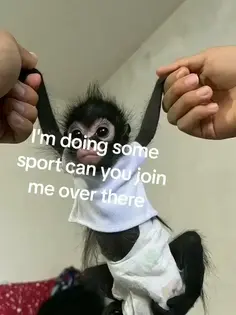 Featured post 3