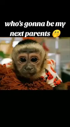 Featured post 2
