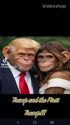 Featured post 2