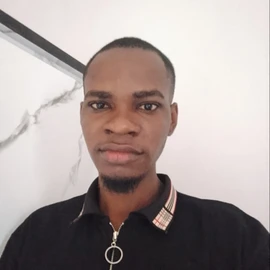 Silvertan Emmanuel profile image