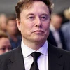 Creator avatar