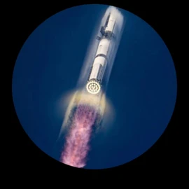 D.O.G.E profile image
