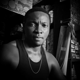Olisaemeka Emmanuel Nwodo profile image