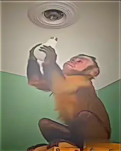 Featured post 1