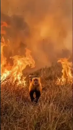 Featured post 2