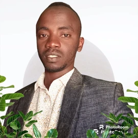 Bahadin profile image