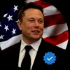 Creator avatar