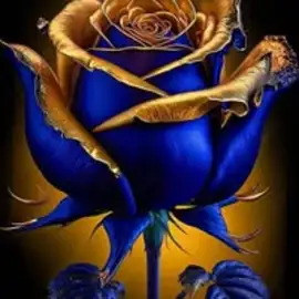 بهیر اطرافی profile image