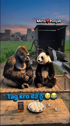 Featured post 2