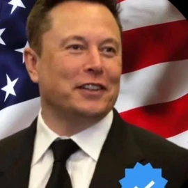 Elon musk CEO profile image