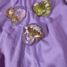 Miss Kitty profile image