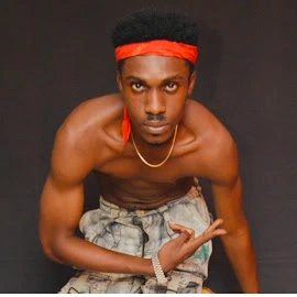 Voysis Flova profile image