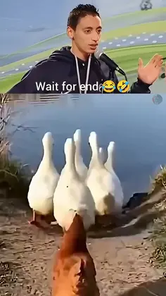 Featured post 1