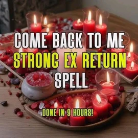 Dr James Love profile image