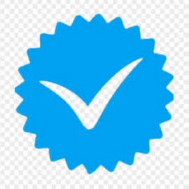 (so masushima profile image