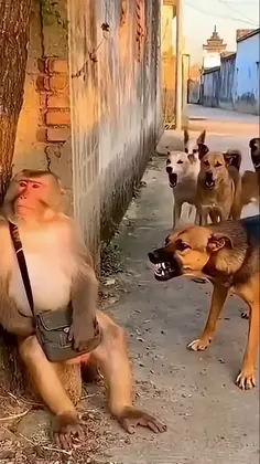 Featured post 5