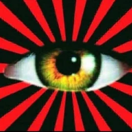 Paulo Morrison profile image
