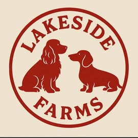 Dachshundspuppies profile image