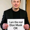 Creator avatar