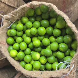 rs Dhankar profile image