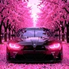Creator avatar