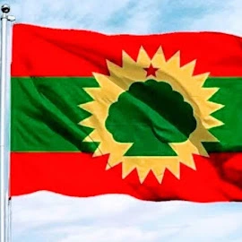 amaanasir kamaale profile image