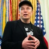 Creator avatar