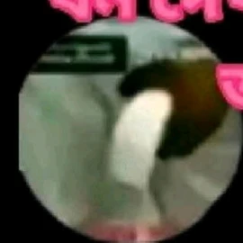 I m saxy profile image