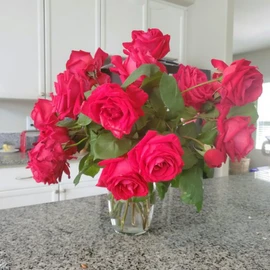 Hannah Wilson profile image