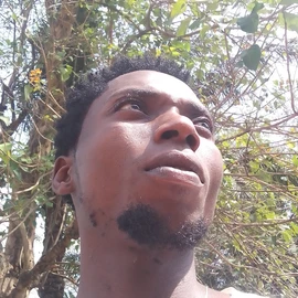 Ifa-dare Godwin profile image