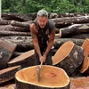 Creator avatar