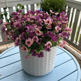 Gen John Johnson profile image