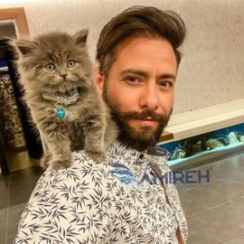 Jordan Amireh profile image