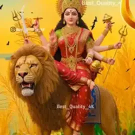 Anshu Pal profile image