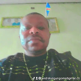 ANDRE LUNGU NGOMA profile image