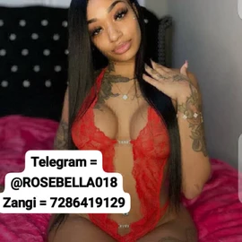 Rose Babe profile image