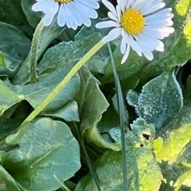 Marry Richard profile image