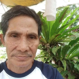 Aleksey profile image