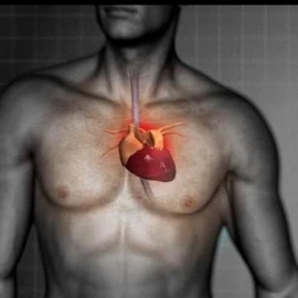 peter joe profile image