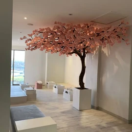 Diamond Neil profile image