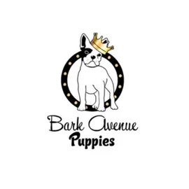 Bark Avenue puppies profile image