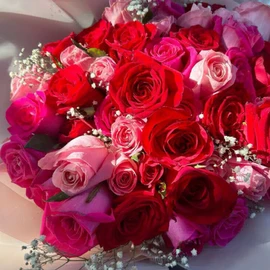 Angelina Nicholas profile image